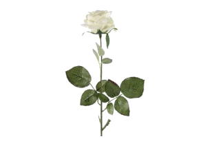 Mākslīgais zieds Roze balta