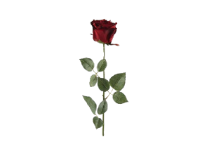 Искусственный цветок роза red