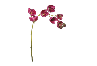 Mākslīgā Orhideja